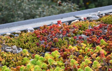 the cost of Burlescombe green roof installation