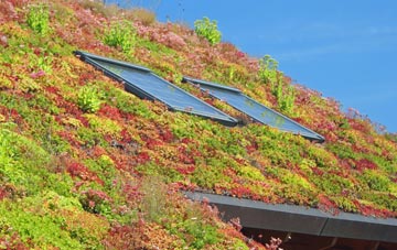 Burlescombe living roof systems